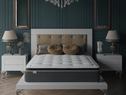 Матрас Evita SymBio Charm Relax 31